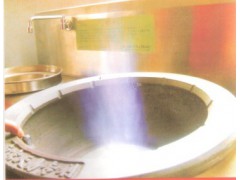 直噴式燃燒-- 南京天易節能設備有限公司
