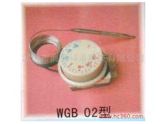 供應溫控器,F2000,A冷柜溫控器 WGE-35-- 深圳市海星科電科技有限公司
