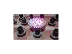 特價出售 7瓦大功率LED植物生長燈-- 中山市華登興照明有限公司