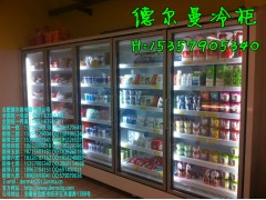 合肥三洋冷藏柜價格-合肥啤酒柜價格-- 合肥德爾曼商用設備公司