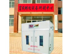 孵化機  河北孵化器-- 德州市德城區富民孵化設備研制中心