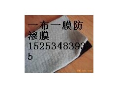 德州復(fù)合土工布多少錢？陵縣華龍化纖告訴你價格-- 陵縣華龍化纖有限公司