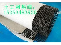 德州哪里的鐵路隧道用三維復合排水網價格便宜？-- 陵縣華龍化纖有限公司