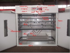 孵化機(jī)  貴州孵化機(jī)-- 德州市德城區(qū)富民孵化設(shè)備研制中心
