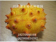 火參果鮮果批發零售-- 江西青水特色種植園