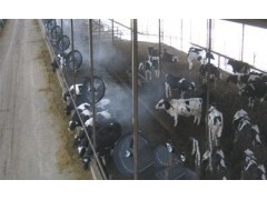 豬圈雞棚牛舍噴霧自動消毒除臭設備-- 深圳市東佳強環保科技有限公司