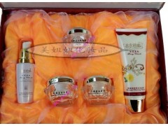 愛莉莎嫩膚養顏套裝，愛莉莎效果-- 廣西南寧市護膚精品化妝品公司銷售部