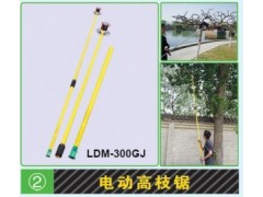 電動高枝鋸多少錢？石家莊莊綠華機械科技價格低質量好-- 石家莊綠華機械科技有限公司