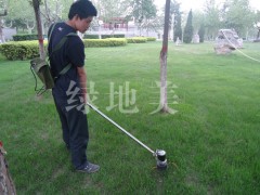 石家莊果園除草機(jī)公司推薦莊綠華機(jī)械科技-- 石家莊綠華機(jī)械科技有限公司