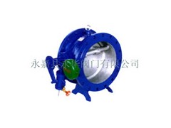 溫州哪里的HH47X蝶式緩沖止回閥價(jià)格便宜？-- 永嘉縣永華閥門有限公司