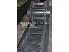 裙邊帶防撕裂波狀擋邊帶大傾角擋邊帶qd1-- 青島宏基橡膠有限公司
