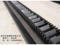裙邊帶防撕裂波狀擋邊帶大傾角擋邊帶qd-- 青島宏基橡膠有限公司
