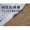 供應德州長絲復合膜15806849985