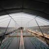 水產養殖大棚膜、水產養殖膜、水產膜