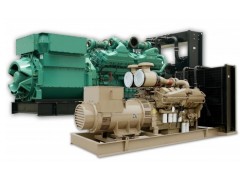小型柴油發電機組　小型發電機　２０ＫＷ　　東風康明斯發電機-- 江蘇領馭電機有限公司