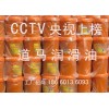 山東道馬潤滑油招商|潤滑油加盟