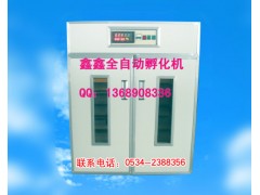 鑫鑫孵化設備山東孵化設備孵化機設備-- 山東鑫鑫孵化設備廠