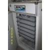孵化設(shè)備專業(yè)生產(chǎn)廠家