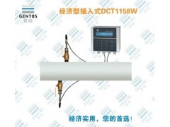 DCT1158W經濟型插入式超聲波流量計-- 深圳市建恒測控股份公司
