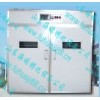 湖南懷化大雁孵化機永州土雞孵化機ww