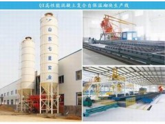 QX高性能混凝土復合砌塊自保溫體系-- 山東七星實業公司