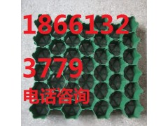 秦皇島植草格-- 泰安綠標建材有限公司