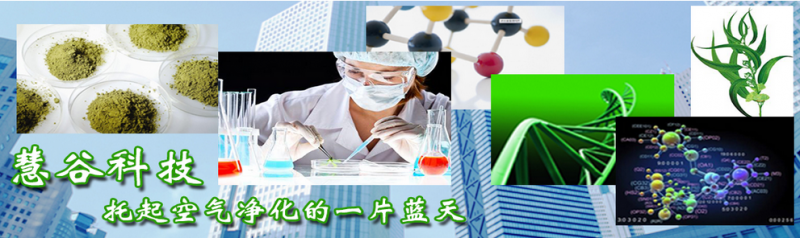 圖片2