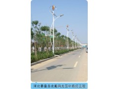 風光互補路燈，風光互補系統，垂直軸，磁懸浮，300W小型風力發電機-- 深圳市泰瑪風光能源科技有限公司