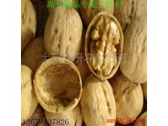 供應(yīng)清香核桃  那里批發(fā)蘋果  求購軍威植物核能爆發(fā)酶  求購奔騰能量爆發(fā)劑-- 大荔縣高升農(nóng)資經(jīng)營部