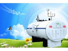 浩信電熱蒸汽鍋爐-- 安陽市滑州鍋爐廠
