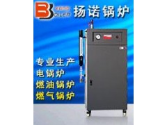 環保型全自動72kw電加熱蒸汽鍋爐-- 上海揚諾鍋爐制造有限公司廣州分公司