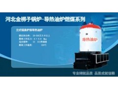 立式鏈條導(dǎo)熱油鍋爐-- 河北金梆子鍋爐有限公司