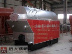 DZH|鍋爐|蒸汽鍋爐-- 河南遠(yuǎn)大鍋爐有限公司