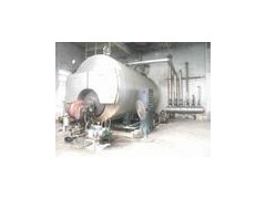 1噸燃煤鍋爐-- 吉安市華安鍋爐安裝有限公司