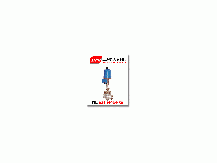 ZD(R)SL電動籠式調節閥-- 上海埃美森閥門有限公司