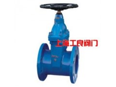 Z45T/W  暗桿鑄鐵閘閥-- 上海工良閥門廠