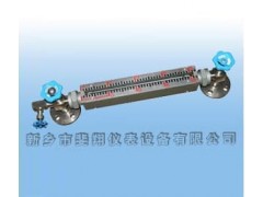 FXSYG-A(石英管雙色液位計)-- 新鄉市斐翔儀表設備有限公司