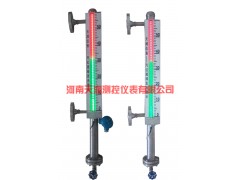 CDS-6  新型磁敏電子雙色液位計-- 河南天潤測控有限公司