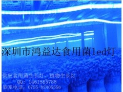 LED食用菌補(bǔ)光燈-- 深圳鴻益達(dá)光電科技有限公司