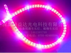 5050高壓植物生長(zhǎng)燈-- 深圳鴻益達(dá)光電科技有限公司