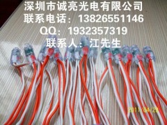 誠亮LED防水燈串-- 深圳市誠亮光電有限公司