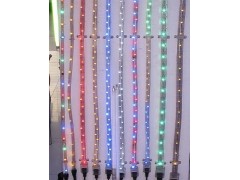 供應(yīng)LED彩虹管 LED燈帶-- 中山建東照明有限公司