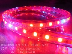 鴻益達(dá)LED植物生長(zhǎng)燈,植物燈帶-- 深圳鴻益達(dá)光電科技有限公司
