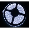 LED3528燈條 60燈/米