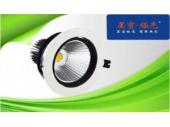 供應LED天花燈PAR30-- 深圳市星寶極光照明有限公司