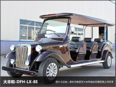 湖南8座電動(dòng)觀光車-- 湖南大豐合電動(dòng)車業(yè)有限公司