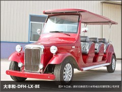 山東?。敚?座電動(dòng)老爺車江西?。ㄚM）6座電動(dòng)老爺車-- 湖南大豐合電動(dòng)車業(yè)有限公司