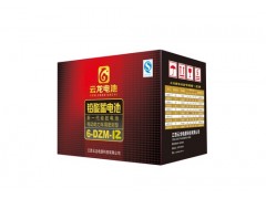 江西云龍電池6-DZM-12-- 江西萬年縣云龍電源有限公司