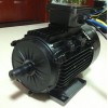 供應110V5.5KW電動船電機