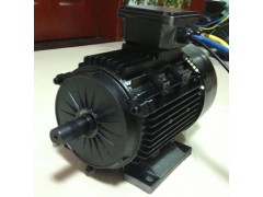 永磁無刷,永磁直流電動機-- 常州永沛機電技術有限公司